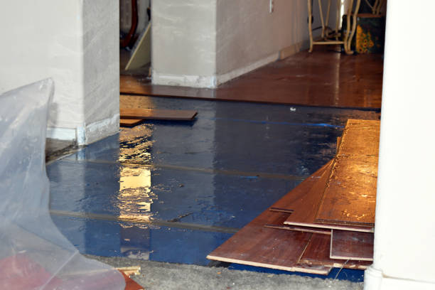 Professional Basement Water Removal technician working in Junction City, CA